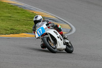 PJ-Motorsport-2019;anglesey-no-limits-trackday;anglesey-photographs;anglesey-trackday-photographs;enduro-digital-images;event-digital-images;eventdigitalimages;no-limits-trackdays;peter-wileman-photography;racing-digital-images;trac-mon;trackday-digital-images;trackday-photos;ty-croes